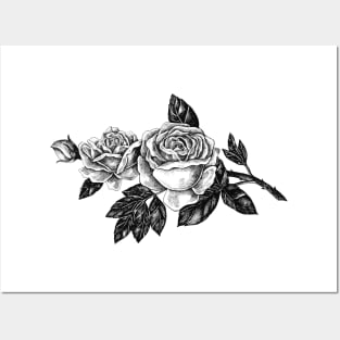 Vintage roses design, Black and white floral pattern Posters and Art